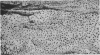 1004-2