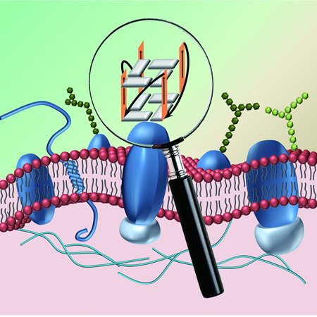 graphic file with name nihms722974f9.jpg