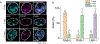 Extended Data Fig 3 |