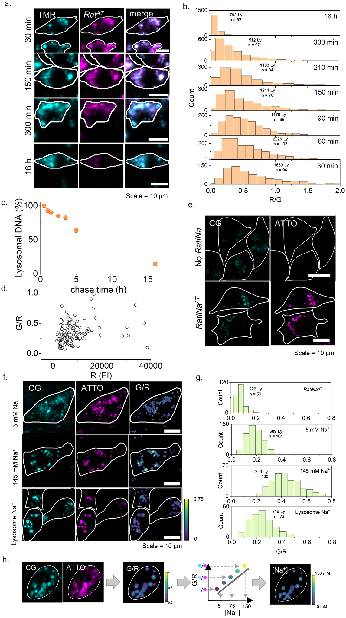 Extended Data Fig 2 |