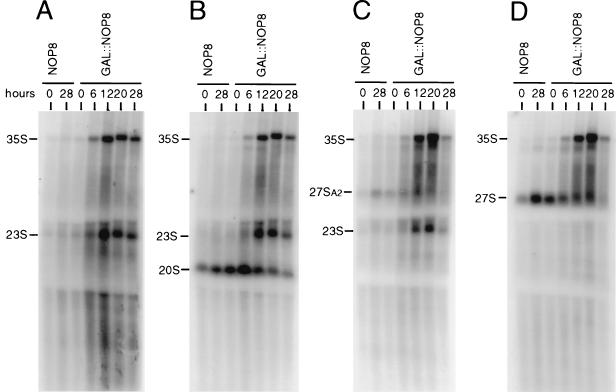 FIG. 7