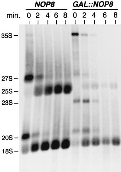 FIG. 6