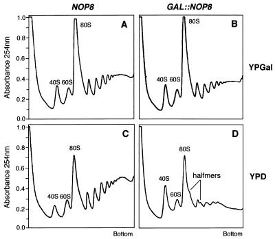 FIG. 5