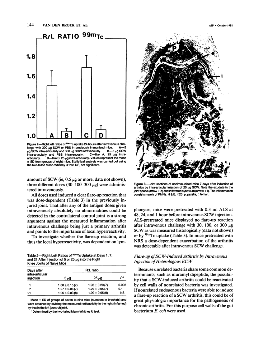 144
