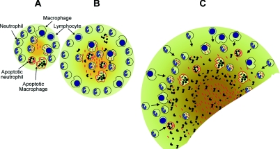 FIG. 7.