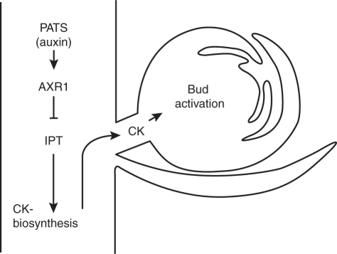 Fig. 1.