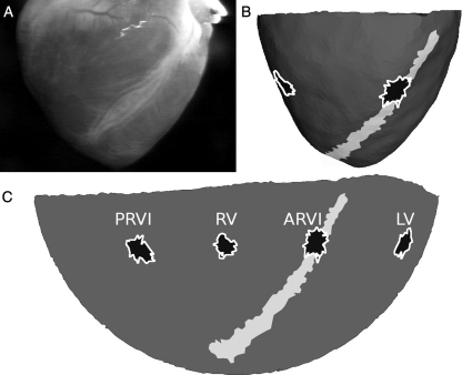 Figure 1