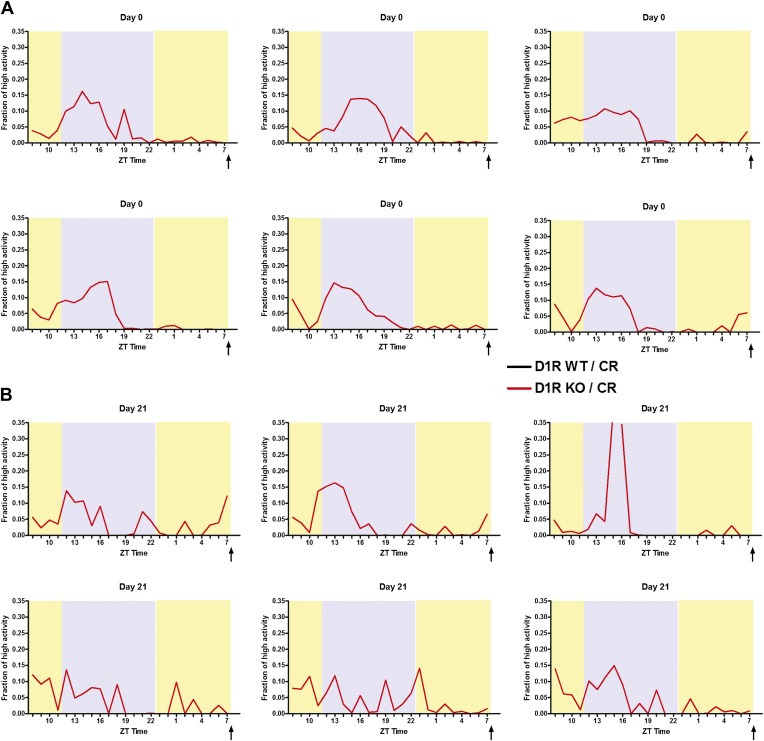 Figure 2—figure supplement 3.