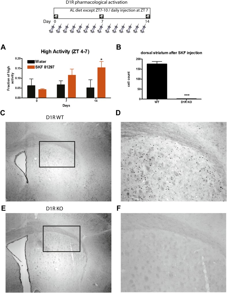 Figure 12—figure supplement 1.