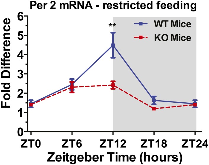 Figure 11.