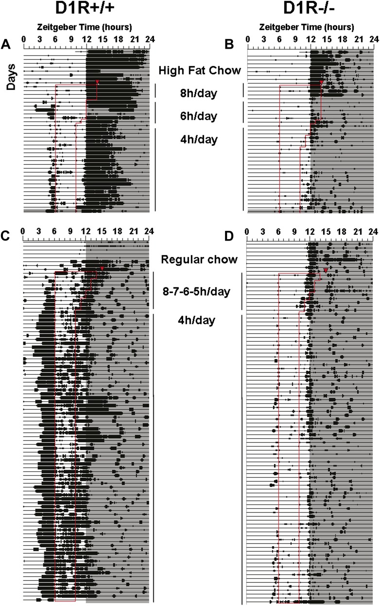 Figure 3—figure supplement 1.