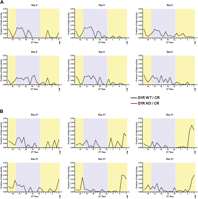 Figure 2—figure supplement 2.