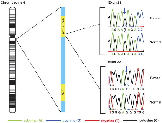 Figure 2