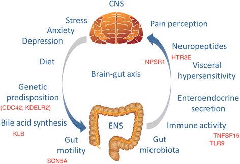 Fig. 1