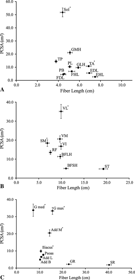 Fig. 2A–C