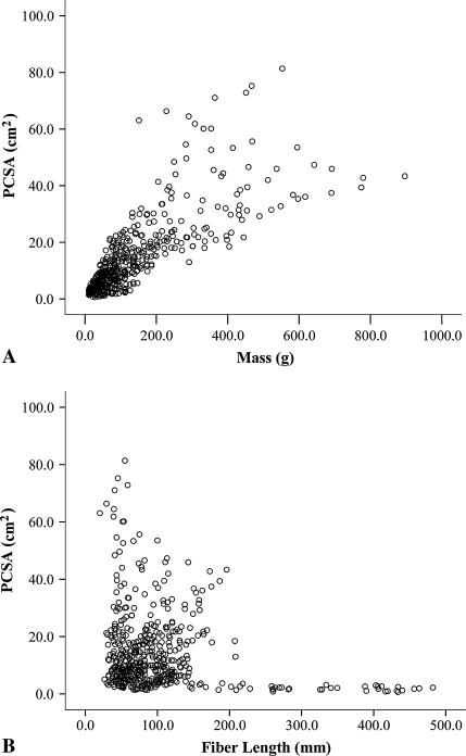 Fig. 3A–B