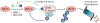 Fig. 5 |