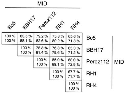 FIG. 3.