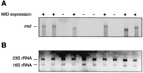 FIG. 5.