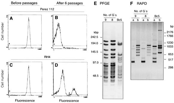 FIG. 6.