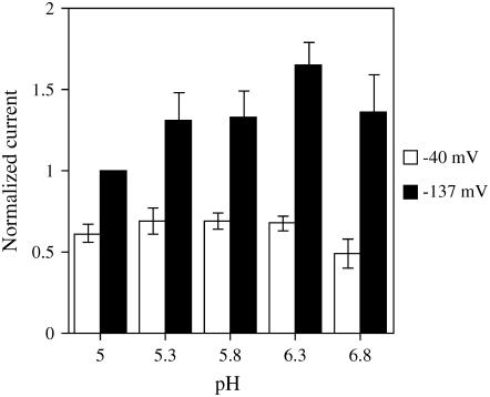 Figure 5.