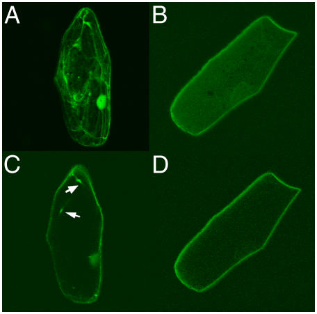 Figure 9.