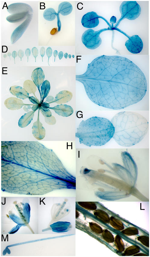 Figure 10.