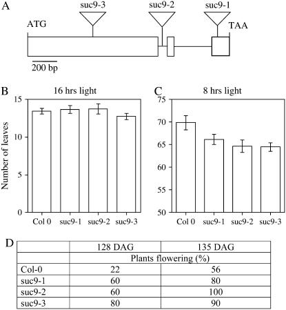 Figure 12.