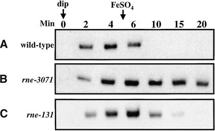 Figure 6.