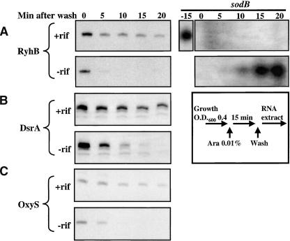 Figure 5.