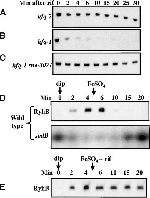 Figure 4.