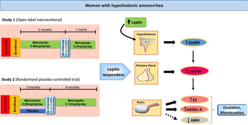 Figure 5: