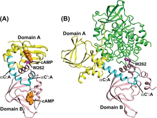 FIGURE 1.