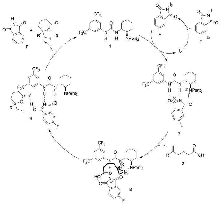 Scheme 1