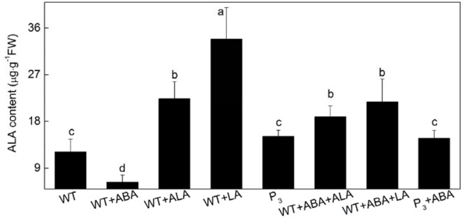 FIGURE 3