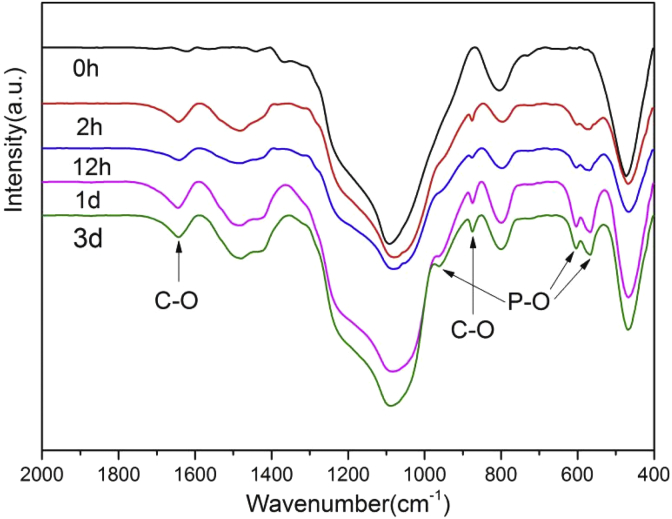 Fig. 9