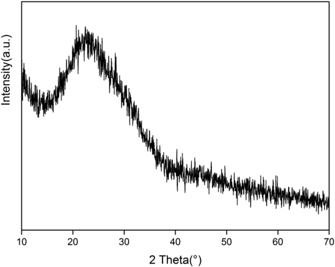 Fig. 1