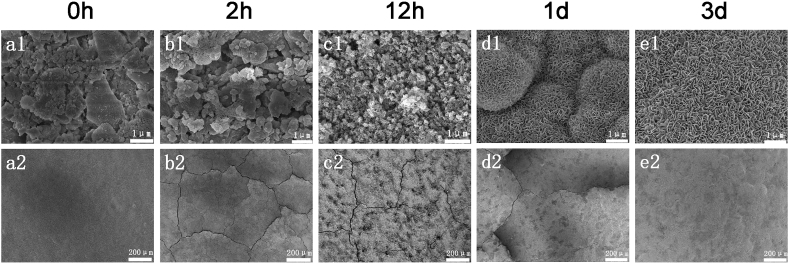 Fig. 7