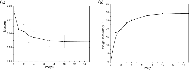 Fig. 5