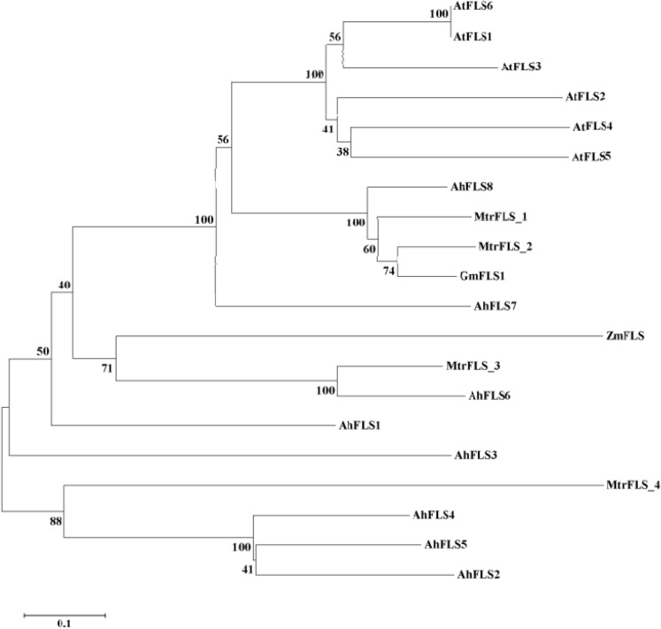 Figure 2