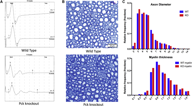 Figure 3