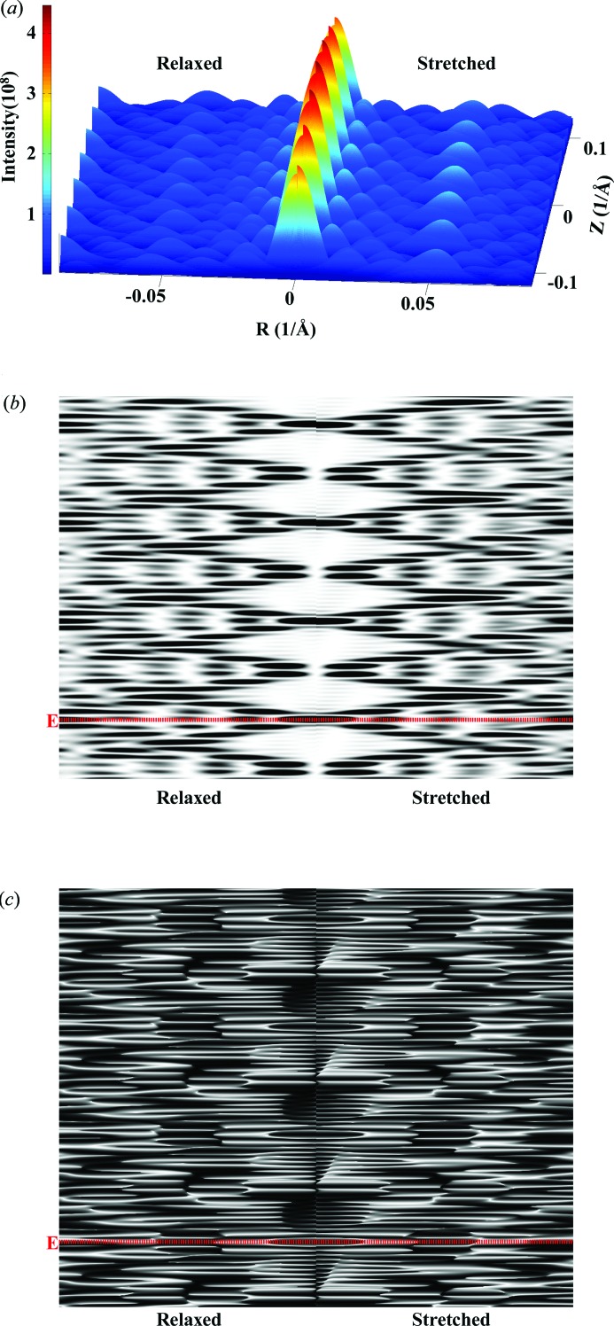 Figure 11