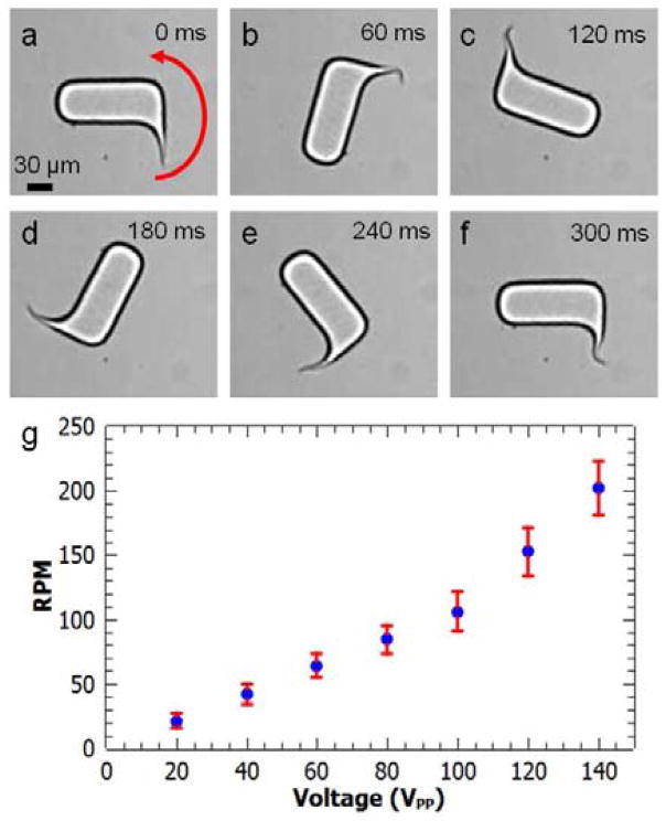 Fig. 5