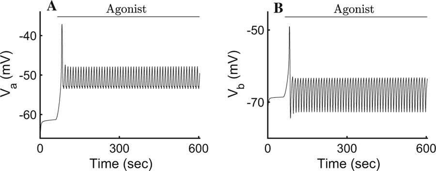 Fig. 5