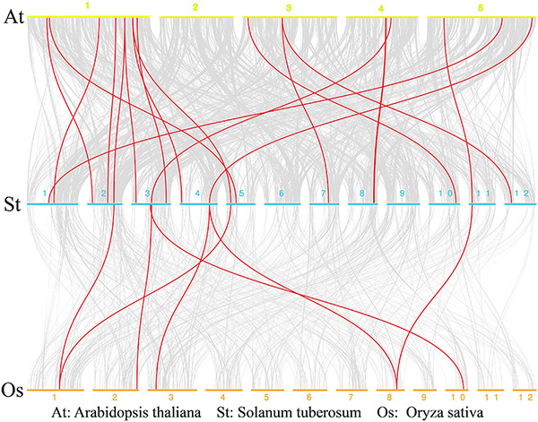 FIGURE 3