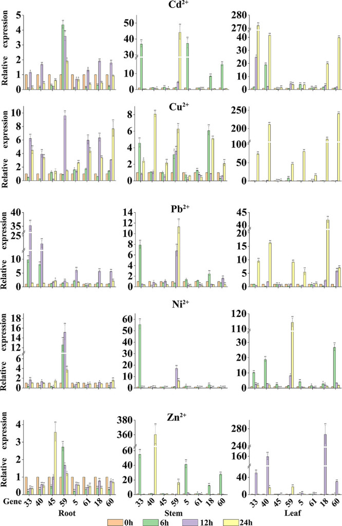 FIGURE 7