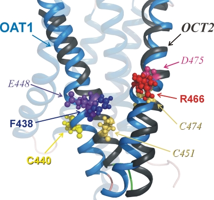 Fig. 9.