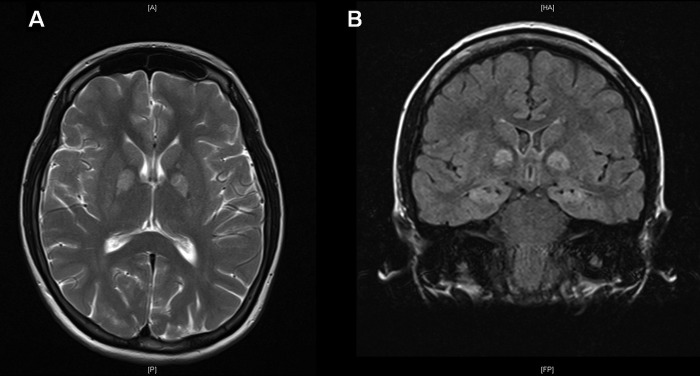 Figure 1