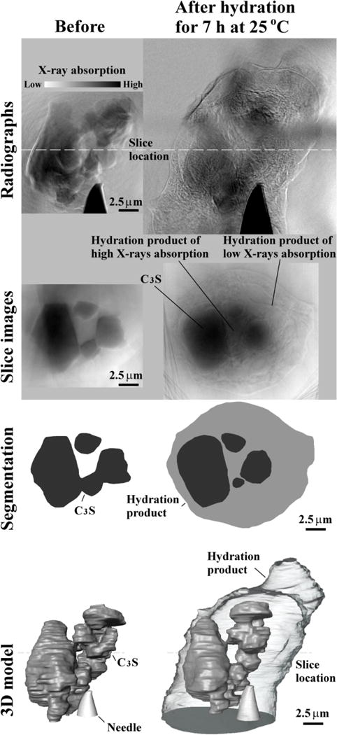 Fig. 7