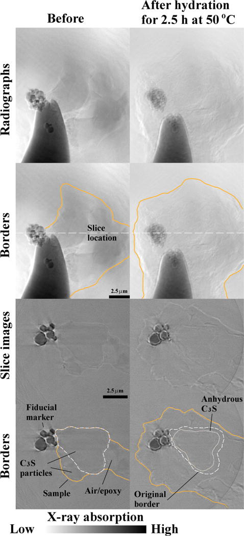 Fig. 6